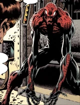 Spider-Man (Earth-20007)