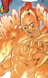 Human Torch (Earth-312)