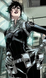 Director Maria Hill (Earth-616)