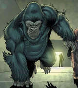 Miklho (Earth-616)