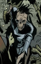 Spectrum (Earth-14412)