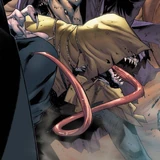 Toad (Earth-616)