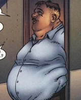 Mr. Bumpo (Earth-616)