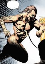 Okami (Earth-616)