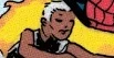Storm (Earth-19747)