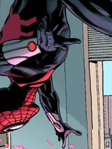 Spider-Man (Earth-13133)