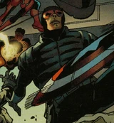 Paladin (Earth-11418)