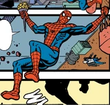 Spider-Man (Earth-51914)