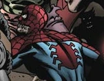 Spider-Man (Earth-6195)