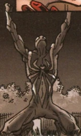 Spider-Man (Earth-TRN1171)