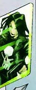 Punisher (Earth-41483)
