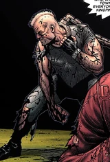 Punisher (Earth-807128)