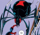 Black Widow Spider Slayer