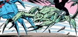 Scorpion Spider Slayer