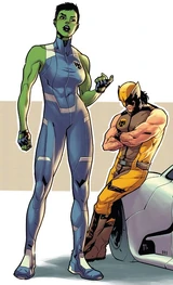 S.H.I.E.L.D. (Earth-18466)
