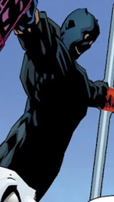 Black Panther (Earth-14845)