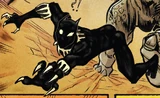 Black Panther (Earth-17995)