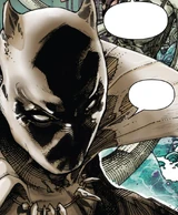 Black Panther (Earth-23099)