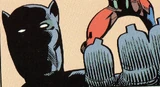 Black Panther (Earth-TRN1212)