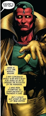 Vision (Earth-10011)