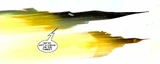 Wakandan Air Force (Earth-616)