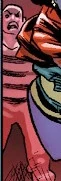 Sandman (Earth-11131)