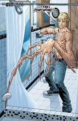 The Porcupine (Earth-616)