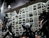 X-Men (Earth-10076)