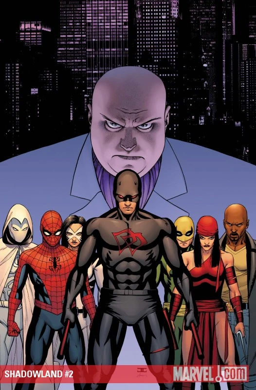 Shadowland (2010) #2