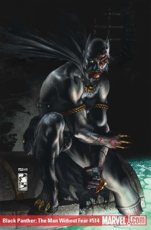 Black Panther: The Man Without Fear / The Most Dangerous Man Alive (2011) #514