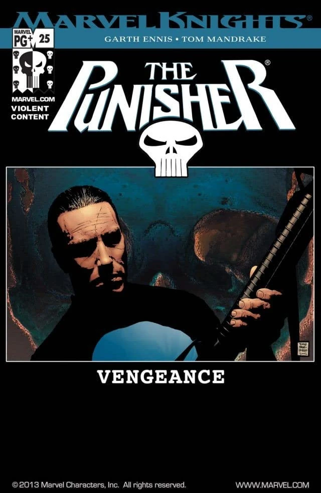 Punisher (2001) #25