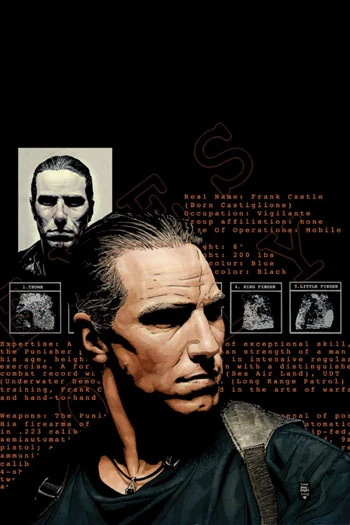 Punisher (2001) #35