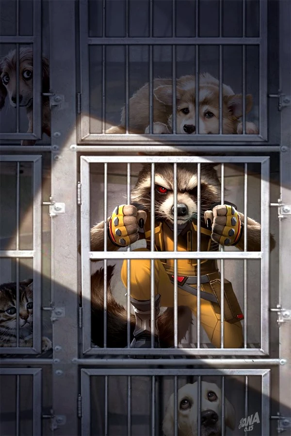 Rocket Raccoon (2017) #1