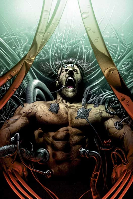 Wolverine / Dark Wolverine (2003) #26