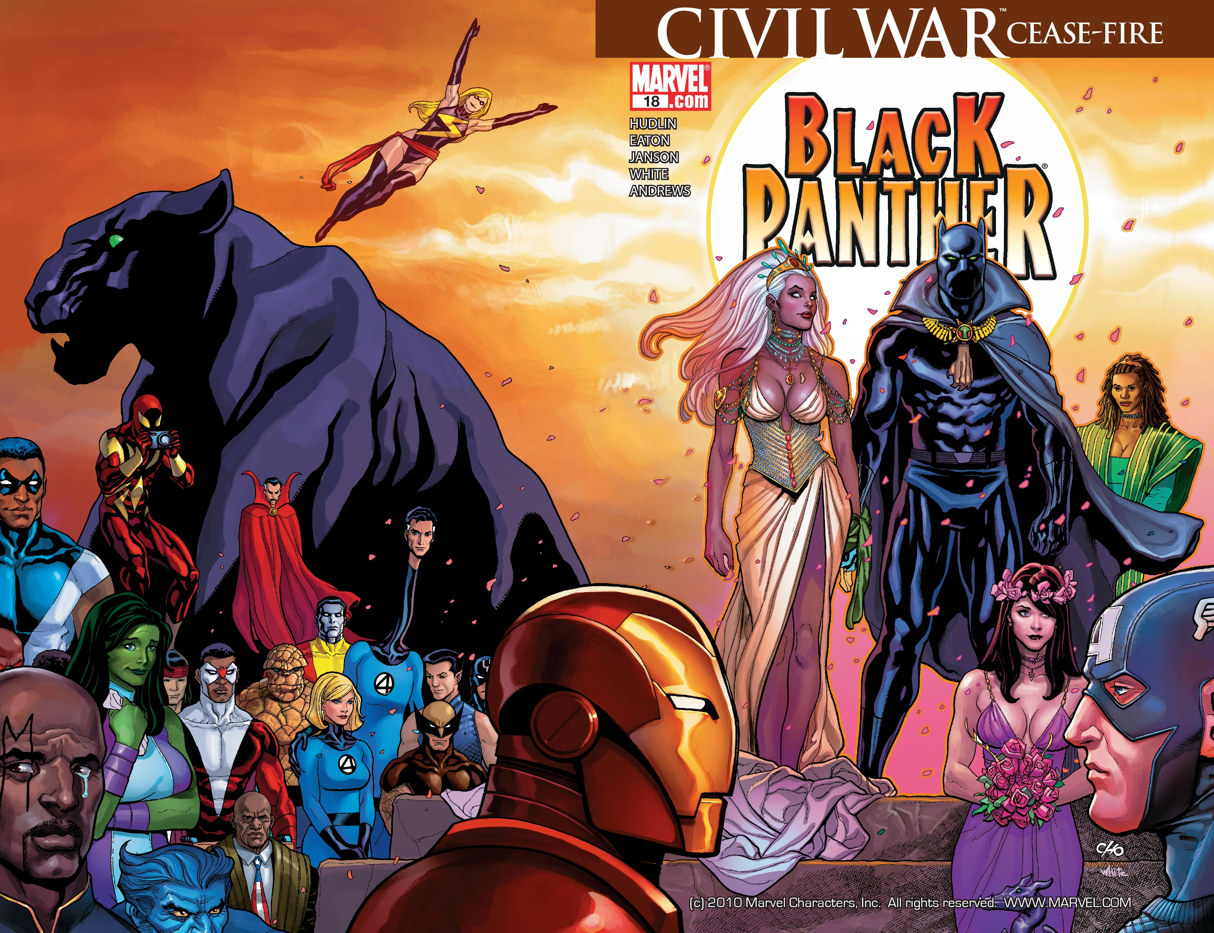 Black Panther (2005) #18 (1)