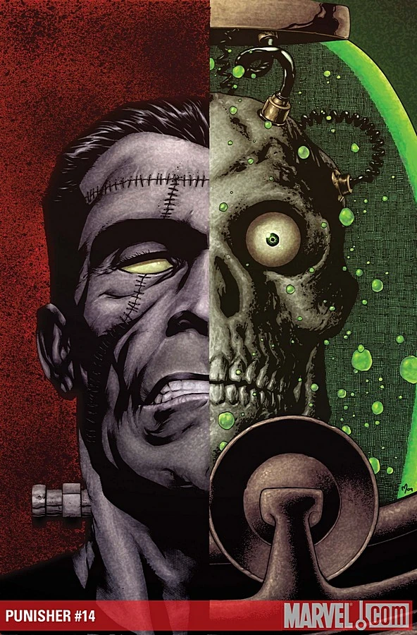 Punisher (2009) #14